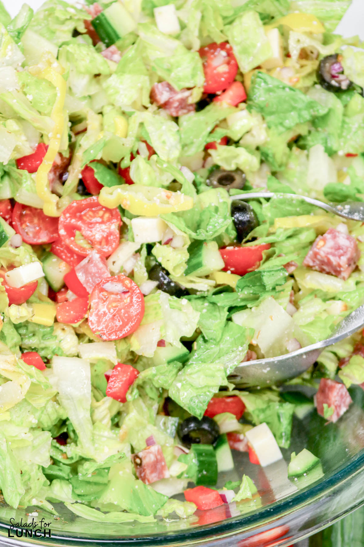 Italian Chopped Salad Recipe 21 1 - If you’re craving something crisp, colorful, and loaded with flavor, this Italian Chopped Salad Recipe is about to become a new go-to. It’s packed with crunchy veggies, savory meats, creamy cheese, and a zesty homemade dressing that ties everything together. It works as an Easy Italian Chopped Salad, a quick lunch, or the most refreshing sidekick to a cozy pasta night.