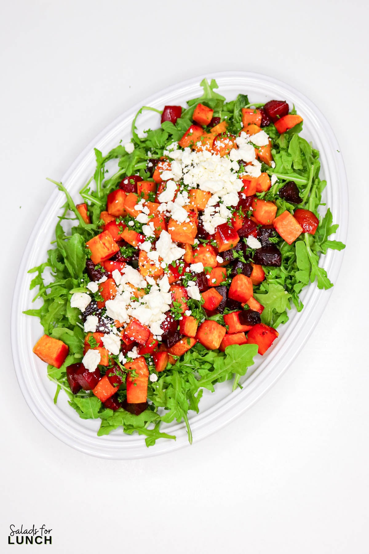 Beet and Sweet Potato Salad Recipe 9 - If you’re hunting for a colorful, hearty salad that feels cozy yet fresh, this Sweet Potato and Beet Salad checks all the boxes. Roasted sweet potatoes bring natural sweetness, roasted beets add earthy flavor, and a tangy balsamic dressing ties everything together. Tossed with greens, feta, and toasted nuts, this salad works beautifully as a holiday side dish or a light lunch.