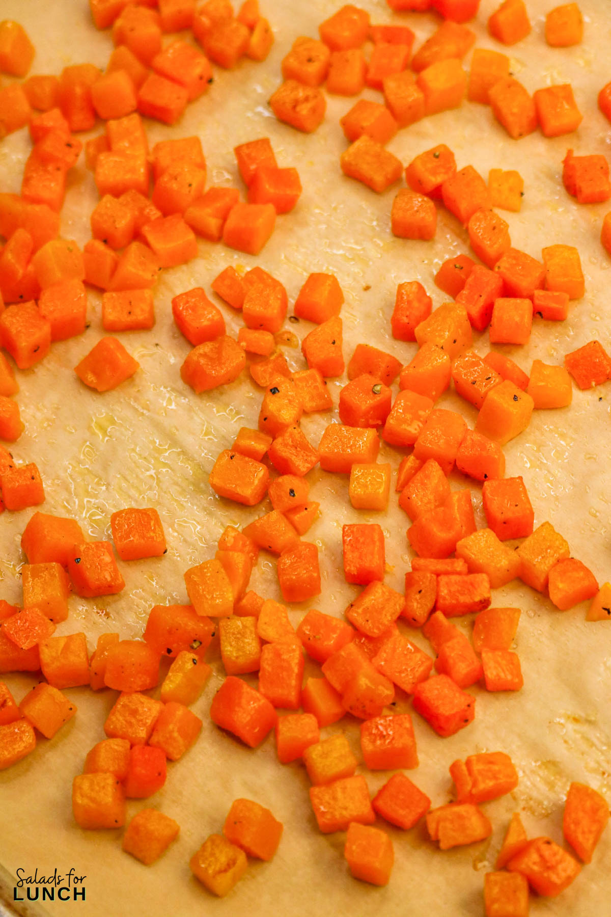 Pumpkin Couscous Salad Recipe 6 - This Roasted Pumpkin Couscous Salad is one of those recipes that feels both cozy and fresh at the same time. This salad features tender roasted pumpkin, fluffy couscous, fresh herbs, and a lightly sweet lemon-honey dressing that comes together in a way that fits right into fall and winter menus. It works beautifully as a side dish, though it can easily pass for a light main when lunchtime rolls around.