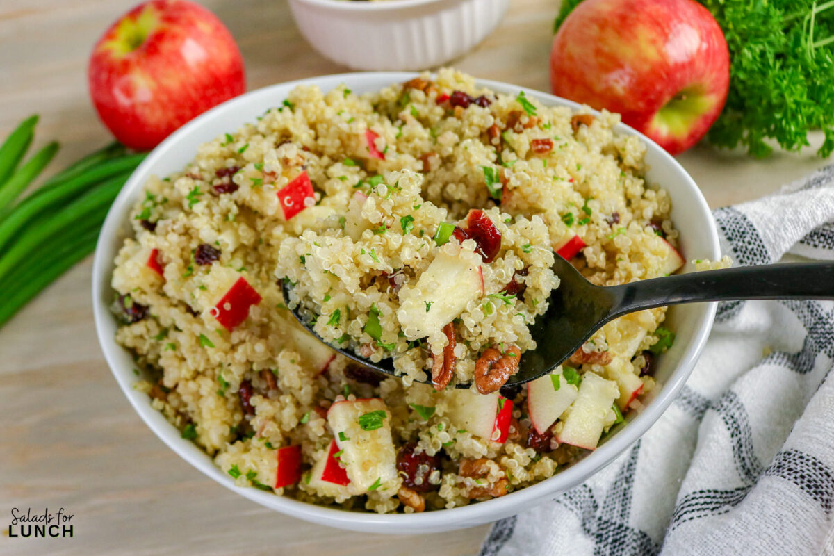 Cranberry Apple Quinoa Salad Recipe 06 - If you’re looking for a fresh, satisfying salad that works for lunch, meal prep, or a simple side dish, this cranberry apple quinoa salad recipe checks all the boxes. It combines fluffy quinoa, crisp apples, tart dried cranberries, and toasted nuts with a light honey-lemon dressing. The result is a salad that’s sweet, tangy, and slightly nutty with plenty of texture in every bite.