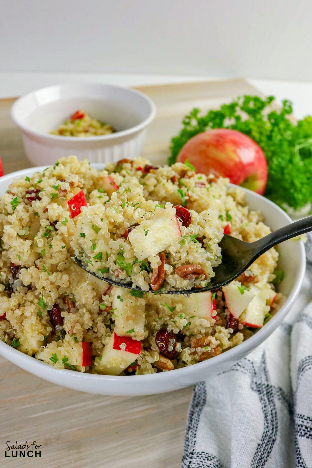 Cranberry Apple Quinoa Salad Recipe 07 - If you’re looking for a fresh, satisfying salad that works for lunch, meal prep, or a simple side dish, this cranberry apple quinoa salad recipe checks all the boxes. It combines fluffy quinoa, crisp apples, tart dried cranberries, and toasted nuts with a light honey-lemon dressing. The result is a salad that’s sweet, tangy, and slightly nutty with plenty of texture in every bite.