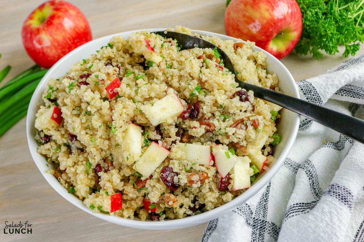 Cranberry Apple Quinoa Salad Recipe 09 - If you’re looking for a fresh, satisfying salad that works for lunch, meal prep, or a simple side dish, this cranberry apple quinoa salad recipe checks all the boxes. It combines fluffy quinoa, crisp apples, tart dried cranberries, and toasted nuts with a light honey-lemon dressing. The result is a salad that’s sweet, tangy, and slightly nutty with plenty of texture in every bite.