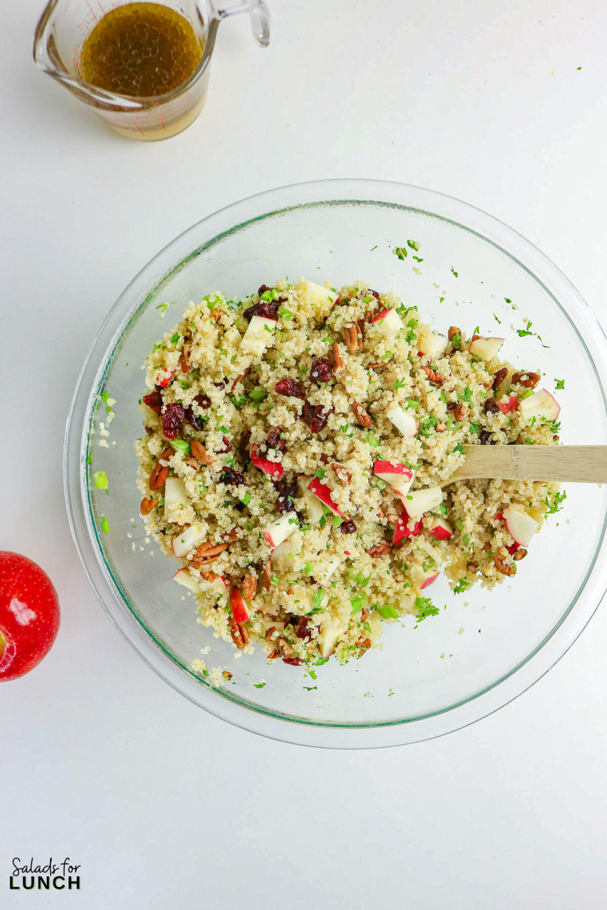 Cranberry Apple Quinoa Salad Recipe 17 - If you’re looking for a fresh, satisfying salad that works for lunch, meal prep, or a simple side dish, this cranberry apple quinoa salad recipe checks all the boxes. It combines fluffy quinoa, crisp apples, tart dried cranberries, and toasted nuts with a light honey-lemon dressing. The result is a salad that’s sweet, tangy, and slightly nutty with plenty of texture in every bite.