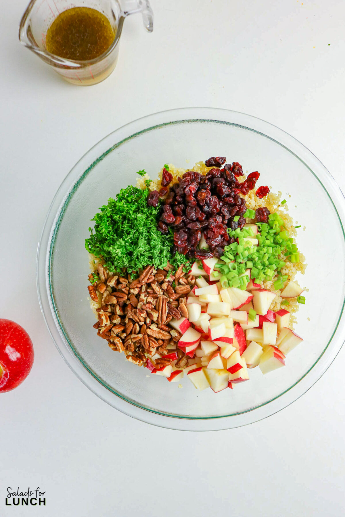 Cranberry Apple Quinoa Salad Recipe 18 - If you’re looking for a fresh, satisfying salad that works for lunch, meal prep, or a simple side dish, this cranberry apple quinoa salad recipe checks all the boxes. It combines fluffy quinoa, crisp apples, tart dried cranberries, and toasted nuts with a light honey-lemon dressing. The result is a salad that’s sweet, tangy, and slightly nutty with plenty of texture in every bite.