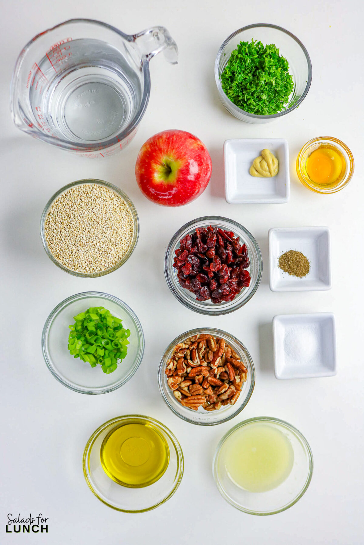 Cranberry Apple Quinoa Salad Recipe 21 - If you’re looking for a fresh, satisfying salad that works for lunch, meal prep, or a simple side dish, this cranberry apple quinoa salad recipe checks all the boxes. It combines fluffy quinoa, crisp apples, tart dried cranberries, and toasted nuts with a light honey-lemon dressing. The result is a salad that’s sweet, tangy, and slightly nutty with plenty of texture in every bite.