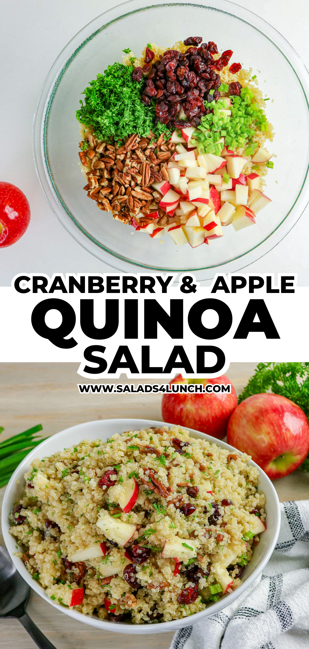 Cranberry Apple Quinoa Salad ingredients in a bowl, finished salad in a white bowl. Text: Cranberry Apple Quinoa Salad, salads4lunch.com
