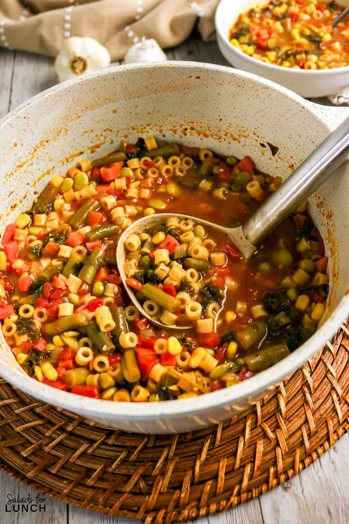 Soupe aux légumes facile dans un pot - Soupe de nouilles aux légumes Délicieuse soupe de légumes aux nouilles dans un grand bol avec une louche.