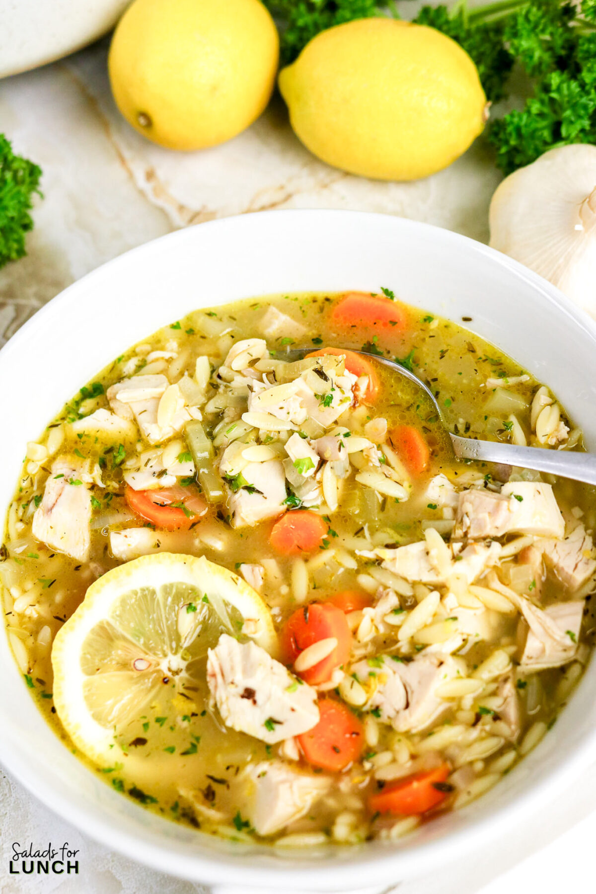 Lemon Chicken Orzo Soup Recipe (Easy One-Pot Chicken Soup) - lemon chicken orzo soup 1 Lemon chicken orzo soup with carrots and parsley in a white bowl.