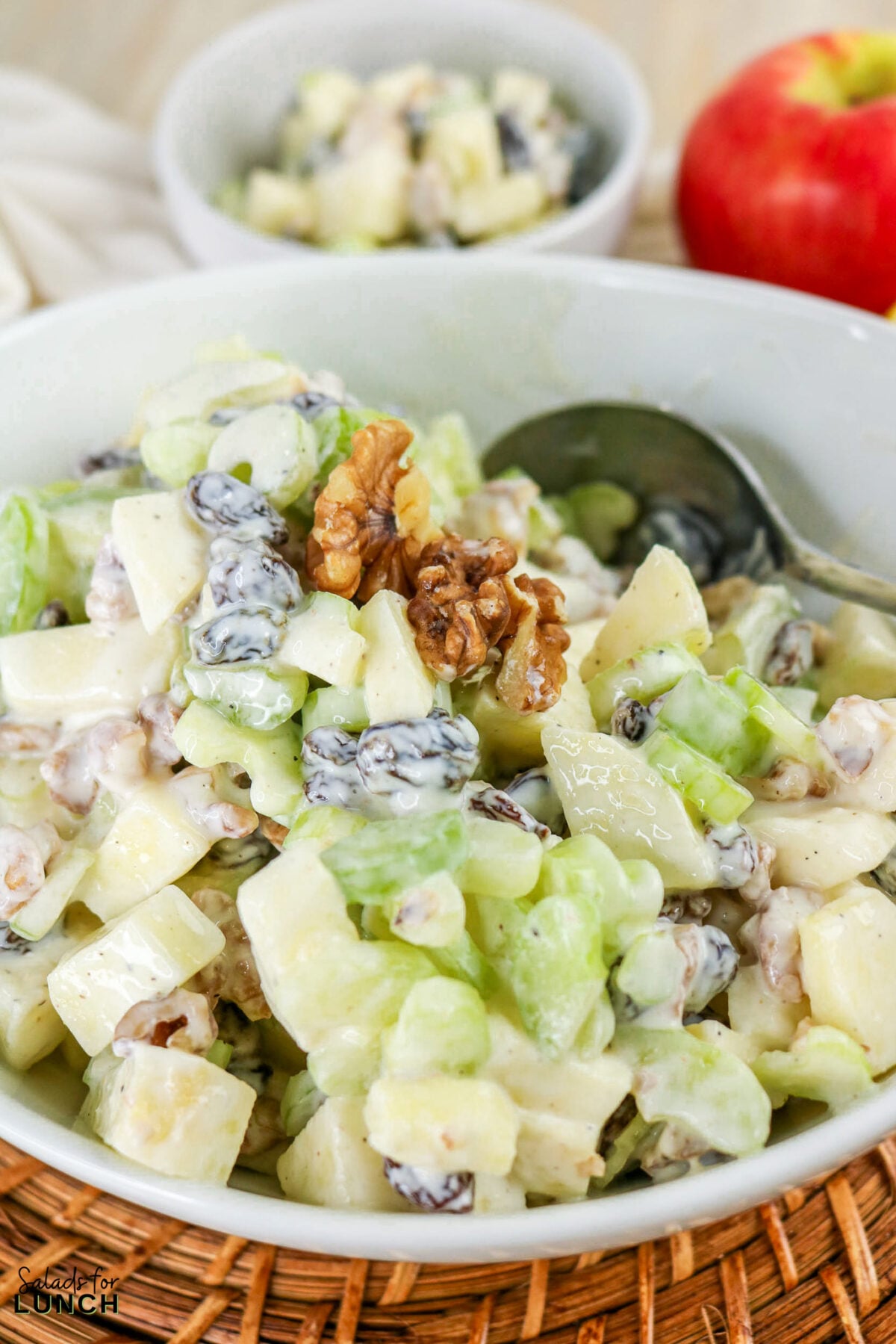 Apple, Celery & Walnut Crunch Salad - Apple Celery Walnut Salad 17 Apple, celery and walnut crunch salad in a white bowl, topped with toasted walnuts and raisins in a creamy Greek yogurt dressing.