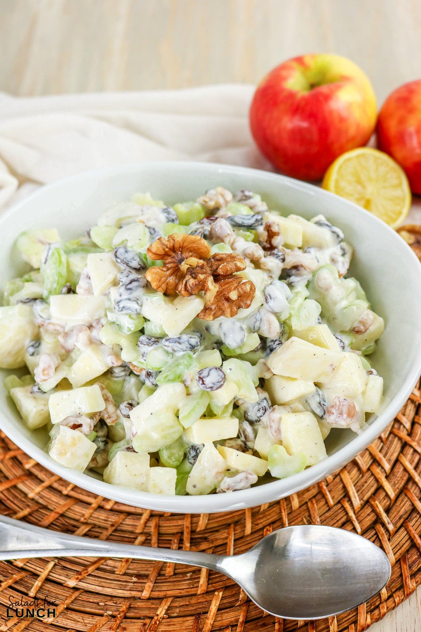 Apple, Celery & Walnut Crunch Salad - Apple Celery Walnut Salad 21 Apple Celery Walnut Salad with diced apples, celery, grapes, raisins, and walnuts in a creamy dressing, served in a white bowl.