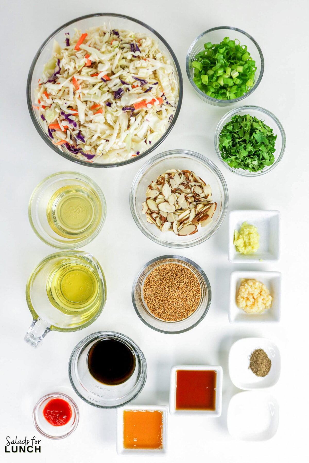 Ingredients for an Asian coleslaw laid out overhead, including shredded cabbage, green onions, cilantro, sliced almonds, sesame seeds, soy sauce, oils, garlic, ginger, and sauces.