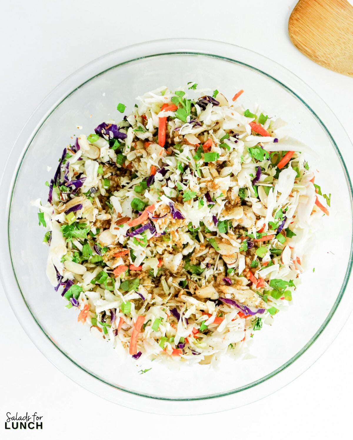 Asian coleslaw tossed with sesame ginger dressing in a large glass bowl, topped with cilantro, green onions, carrots, and sliced almonds.