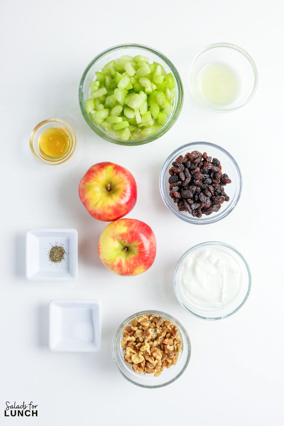 Apple, Celery & Walnut Crunch Salad - Ingredients Apple Celery Walnut Salad Waldorf salad ingredients laid out: chopped celery, two apples, raisins, walnuts, yogurt, honey, lemon juice, salt, and pepper.