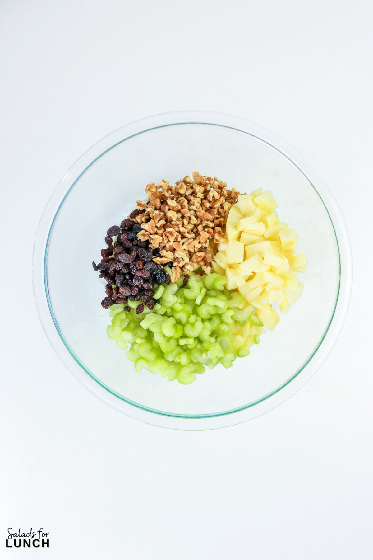 Apple, Celery & Walnut Crunch Salad - Process Apple Celery Walnut Salad 2 Process Apple Celery Walnut Salad 2 - This crisp salad combines sweet apples, crunchy celery, toasted walnuts and raisins in a light Greek yogurt dressing — no mayo, no cooking, ready in 15 minutes.