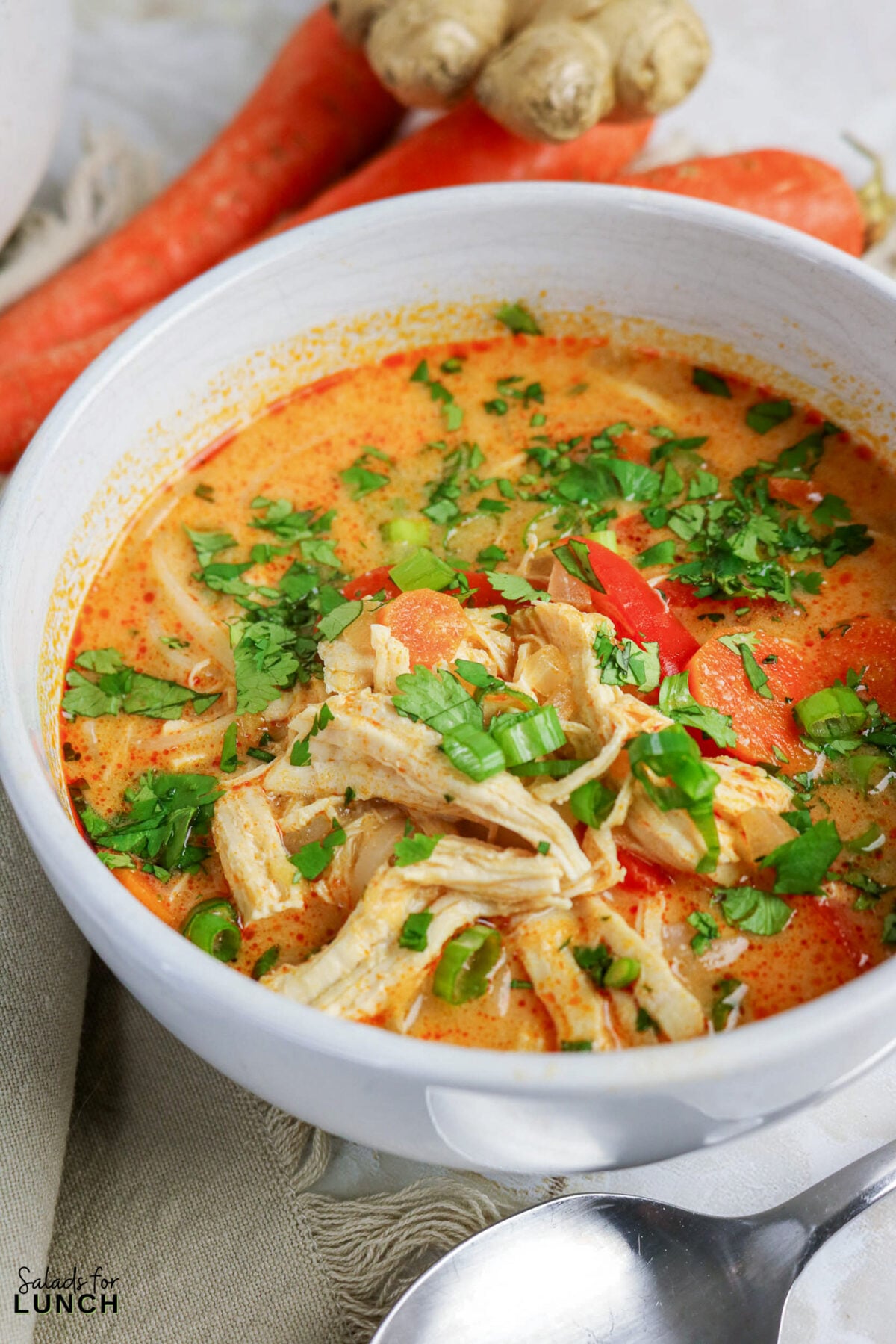 Bowl of Thai coconut curry chicken soup with shredded chicken, carrots, and cilantro, served with fresh ginger and carrots nearby.