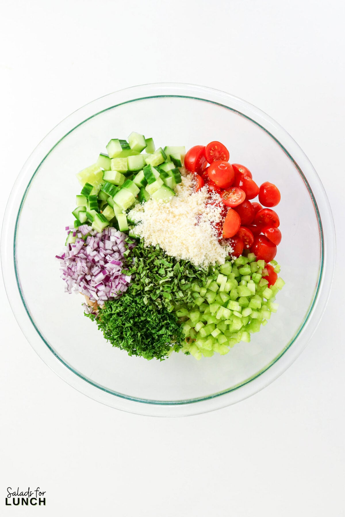 Easy Tuscan Bean Salad - Tuscan Bean Salad Process 8 Glass bowl with unmixed salad ingredients: cannellini beans, diced cucumber, cherry tomatoes, red onion, celery, chopped parsley, and grated cheese.