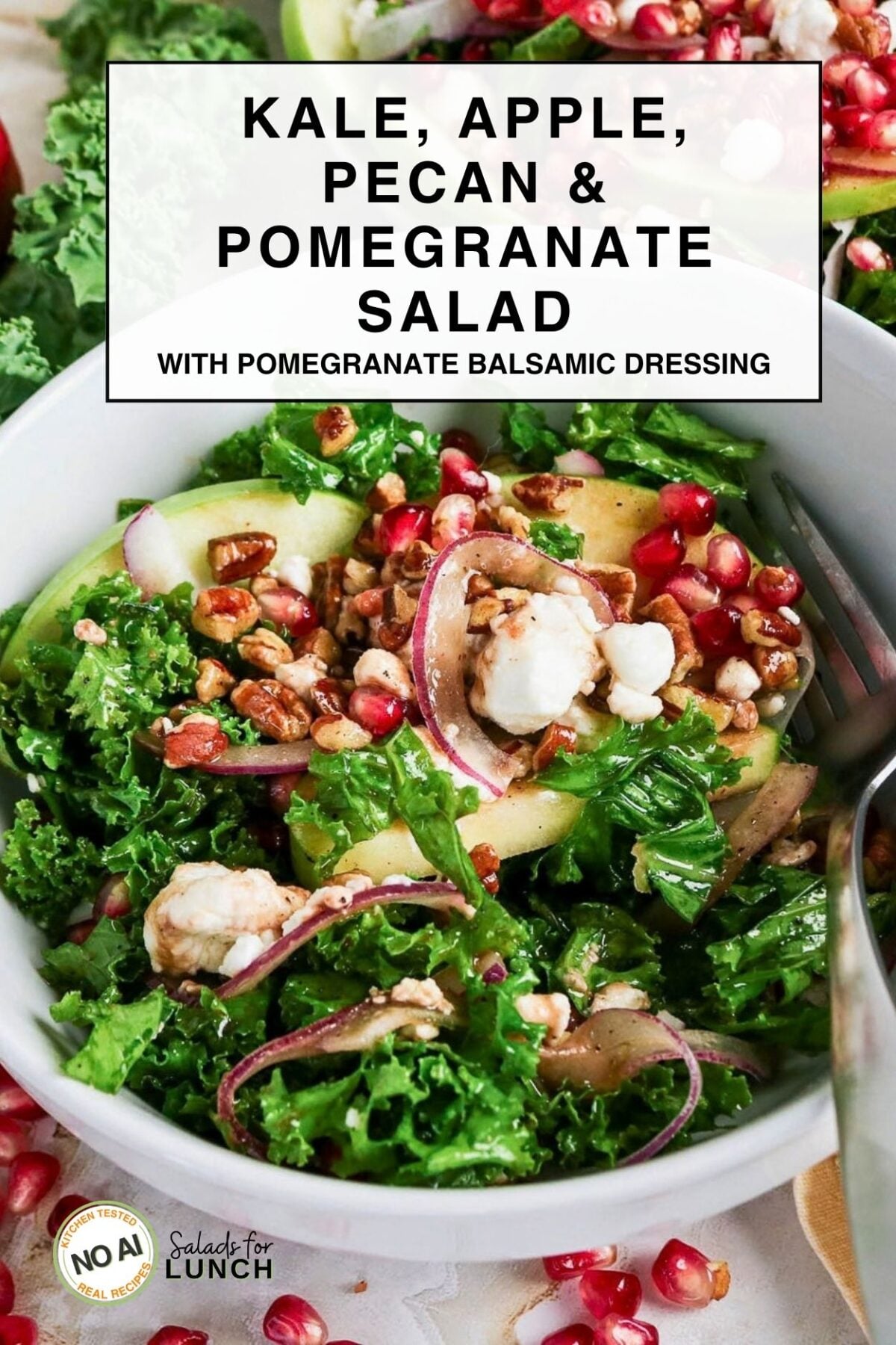 Kale, Apple, Pecan and Pomegranate Salad with Pomegranate Balsamic Dressing - Apple Pecan Pomegranate Salad Kale, apple, pecan and pomegranate salad with pomegranate balsamic dressing, topped with red onion and goat cheese.