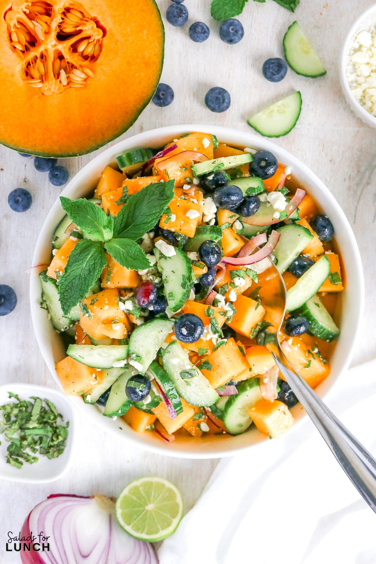 Cantaloupe Cucumber Feta Salad - Cantaloupe Salad Recipe 20 Bowl of cantaloupe salad with cucumber, blueberries, red onion, feta, and mint, surrounded by cut melon, lime, and onion.