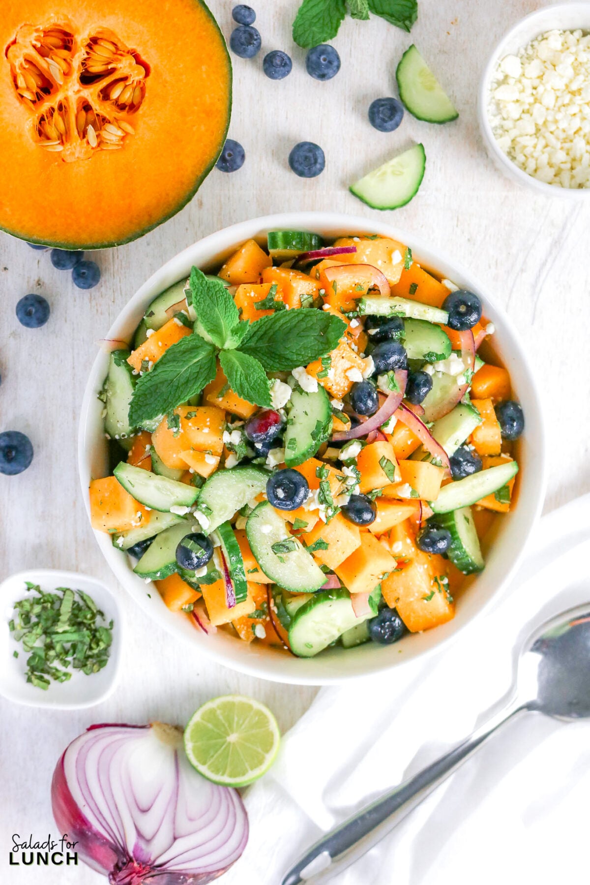 Cantaloupe Cucumber Feta Salad - Cantaloupe Salad Recipe 22 Bowl of cantaloupe cucumber feta salad with blueberries, cucumber, cantaloupe, red onion, feta, and mint, surrounded by fresh ingredients.