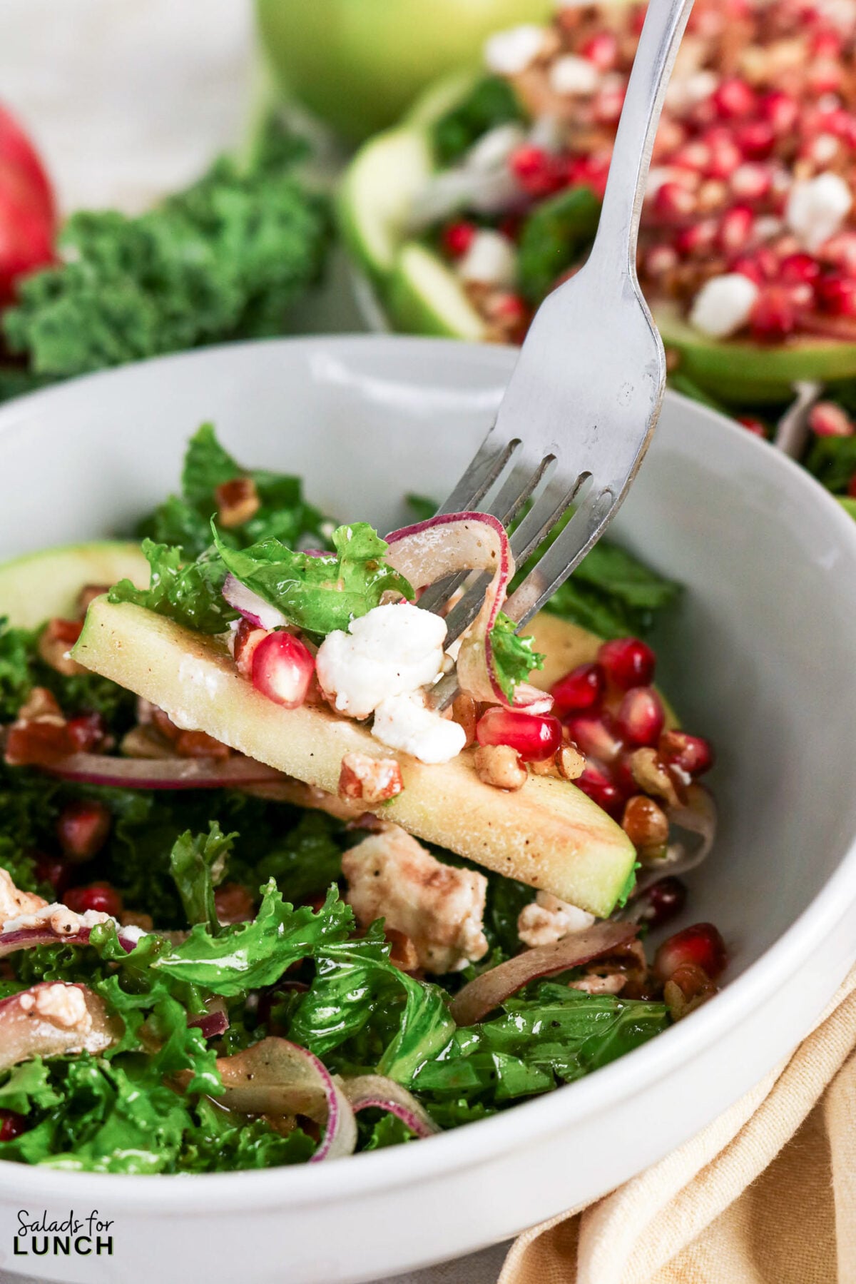 Kale, Apple, Pecan and Pomegranate Salad with Pomegranate Balsamic Dressing - Kale Pomegranate Salad Hero 04 Fork lifting a bite of kale salad with apple slices, pomegranate seeds, goat cheese, pecans, and red onion.