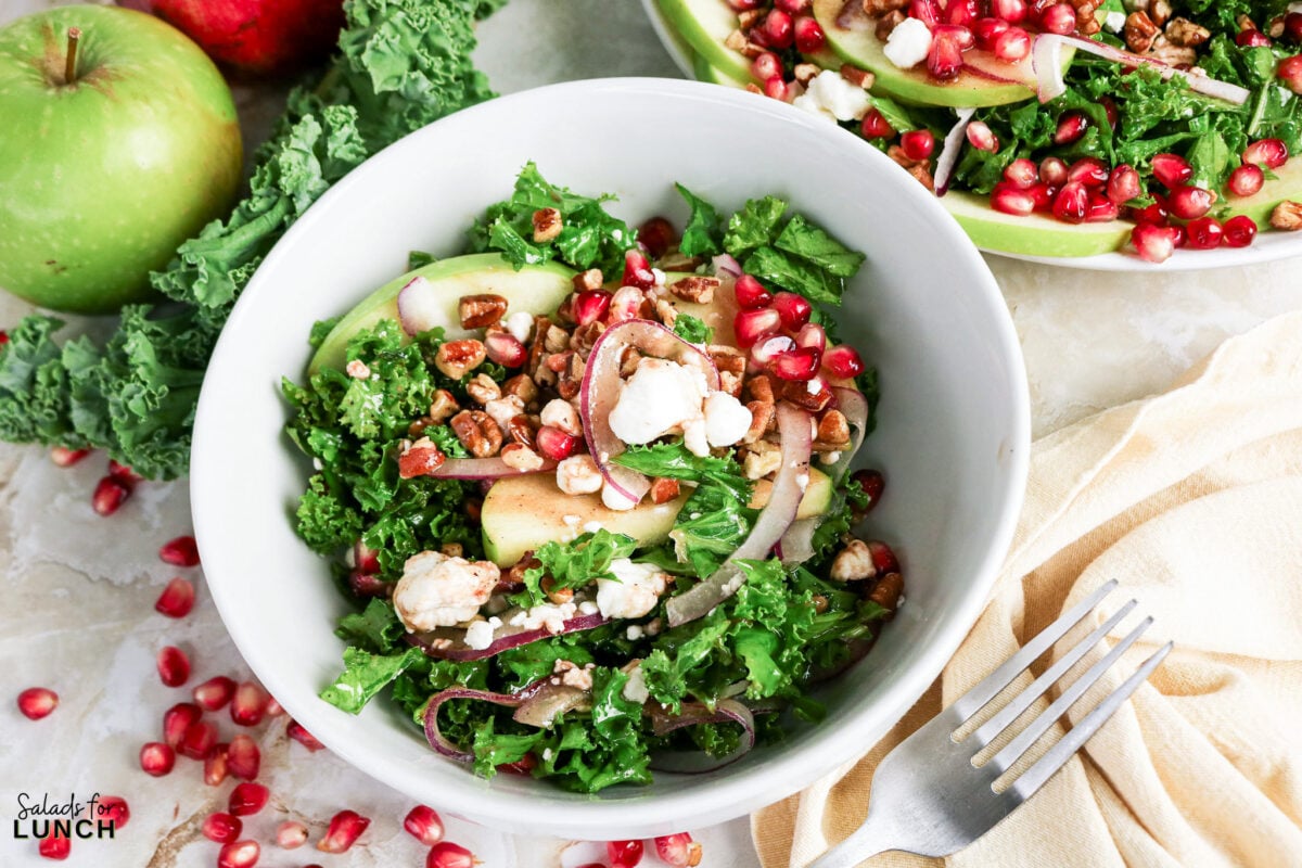 Kale, Apple, Pecan and Pomegranate Salad with Pomegranate Balsamic Dressing - Kale Pomegranate Salad Hero 10 Bowl of kale salad topped with sliced apples, pomegranate seeds, red onion, goat cheese, and pecans.