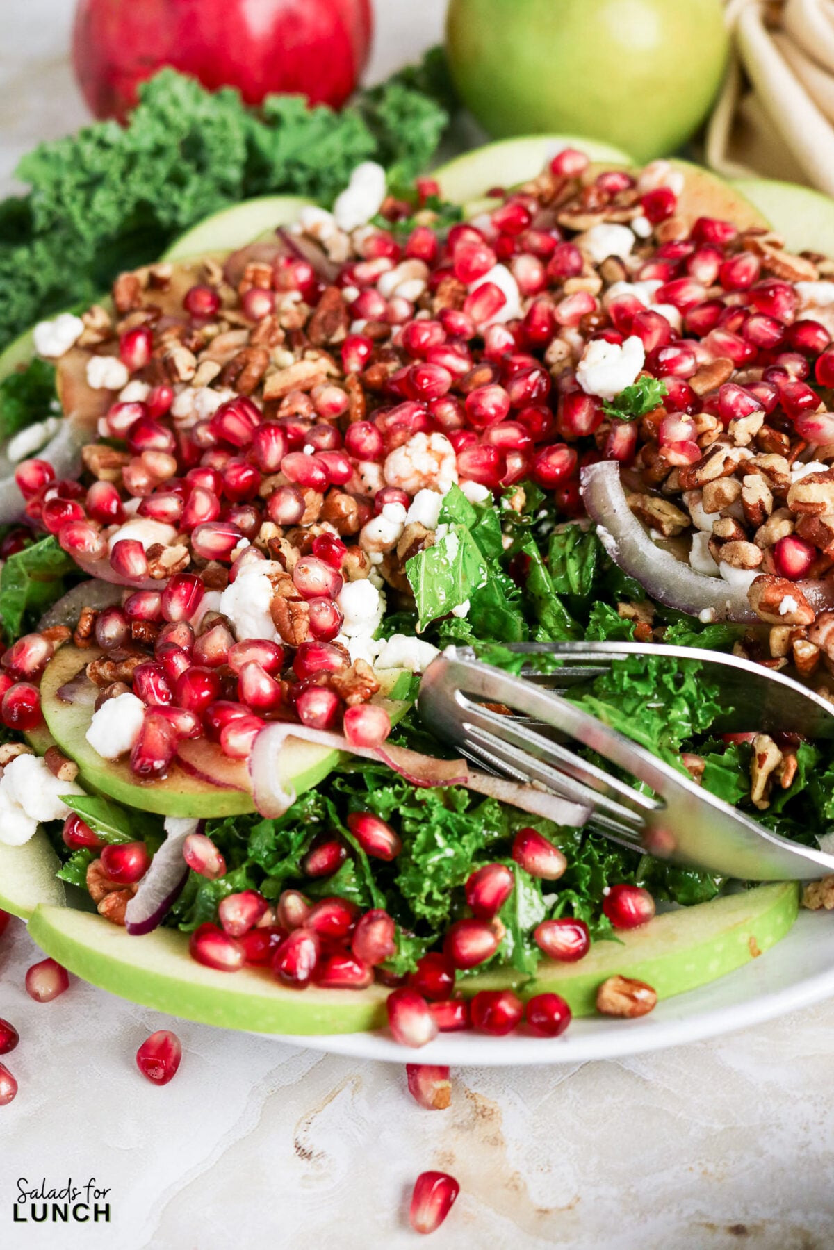 Kale, Apple, Pecan and Pomegranate Salad with Pomegranate Balsamic Dressing - Kale Pomegranate Salad Hero 11 Kale salad topped with pomegranate seeds, sliced apples, goat cheese, pecans, and red onion.