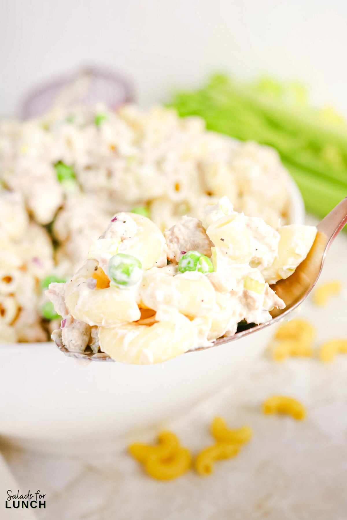 Creamy Tuna Macaroni Salad - Tuna Macaroni Salad Hero 03 Spoonful of creamy macaroni salad with peas, chicken, and diced celery, held above a full bowl.