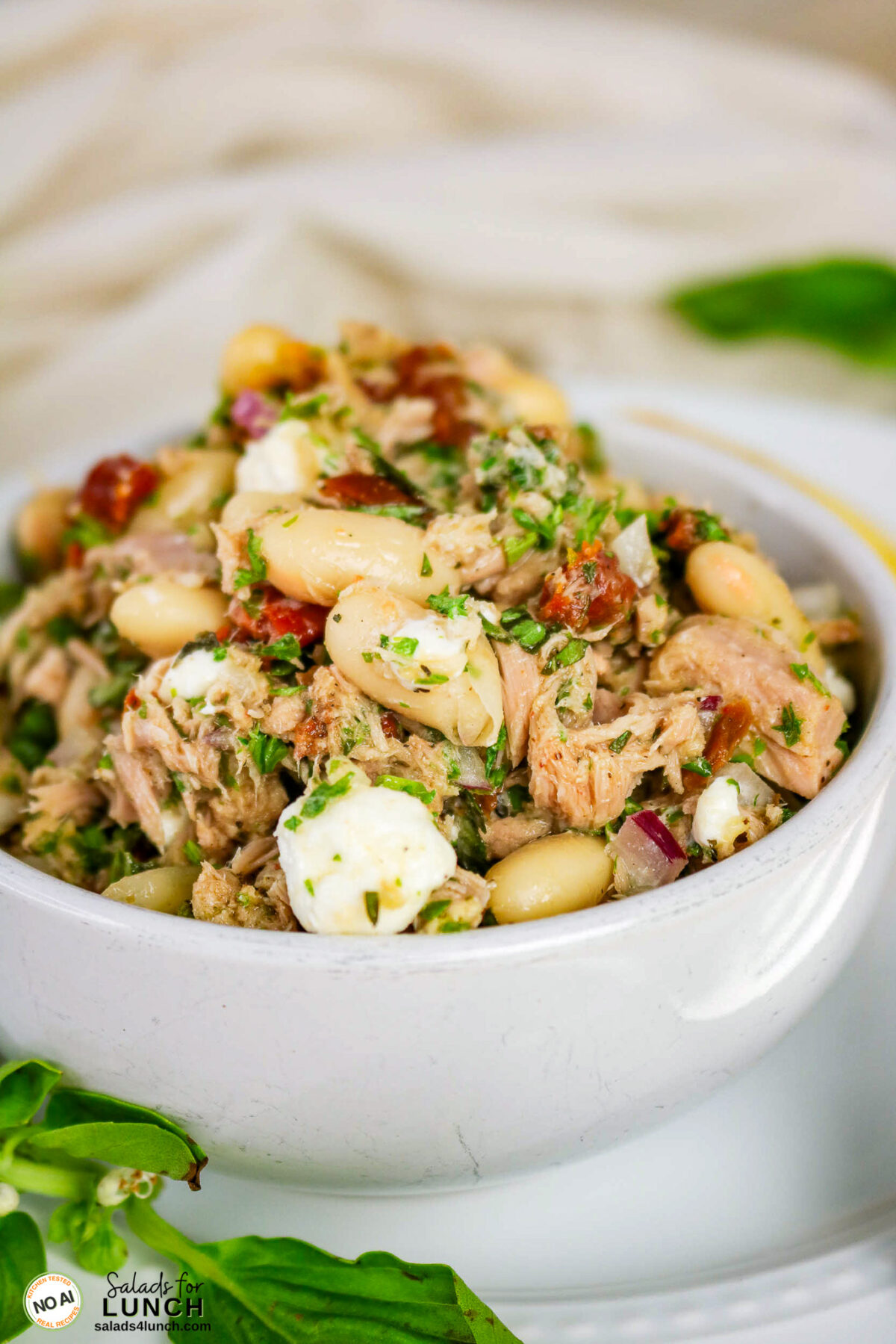 Tuscan Tuna Salad - Tuscan Tuna Salad Hero 12 White bowl of tuna salad with white beans, mozzarella pieces, sun-dried tomatoes, red onion, and herbs.